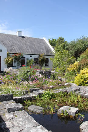 Tea & Garden Rooms / An Fear Gorta Front Garden & Pond