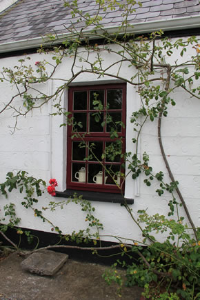 Tea & Garden Rooms / An Fear Gorta Window